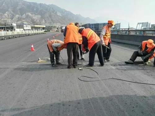 扬中道路桥梁病害治理